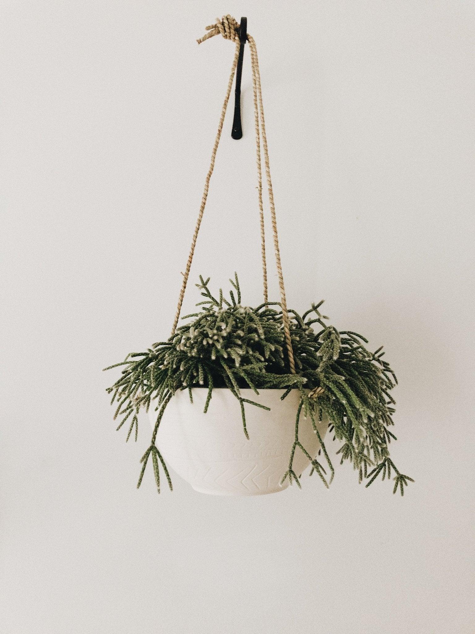 etsy ceramic hanging planter Carved Bowl Hanging Planter