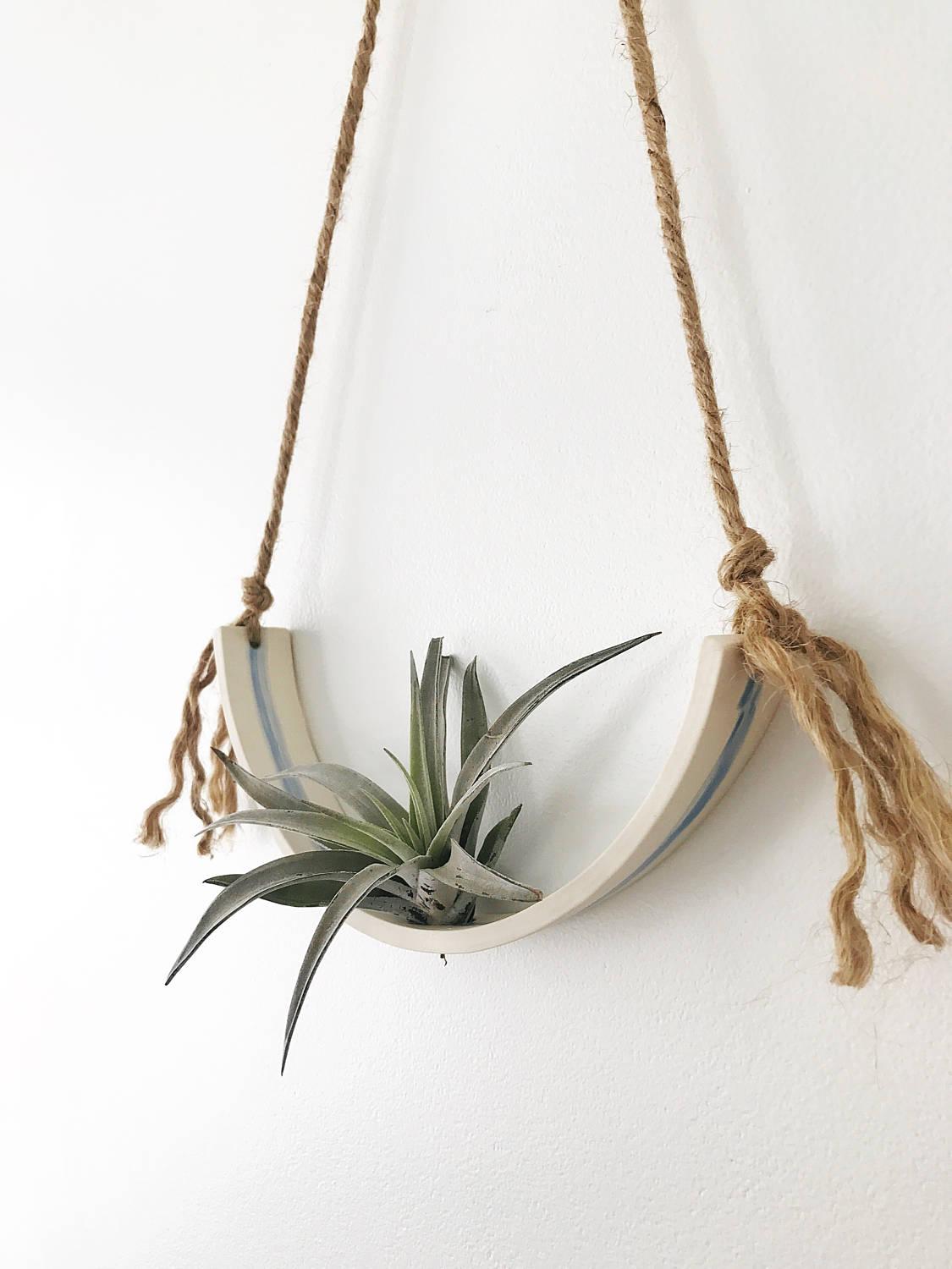 air plant cradle Large Airplant Half Moon Cradle | Wall Planter