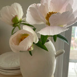 Handmade Small Bellied Handle Ceramic Vase