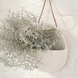 Wall Pocket Hanging Planter | Handmade Ceramic Wall Decor