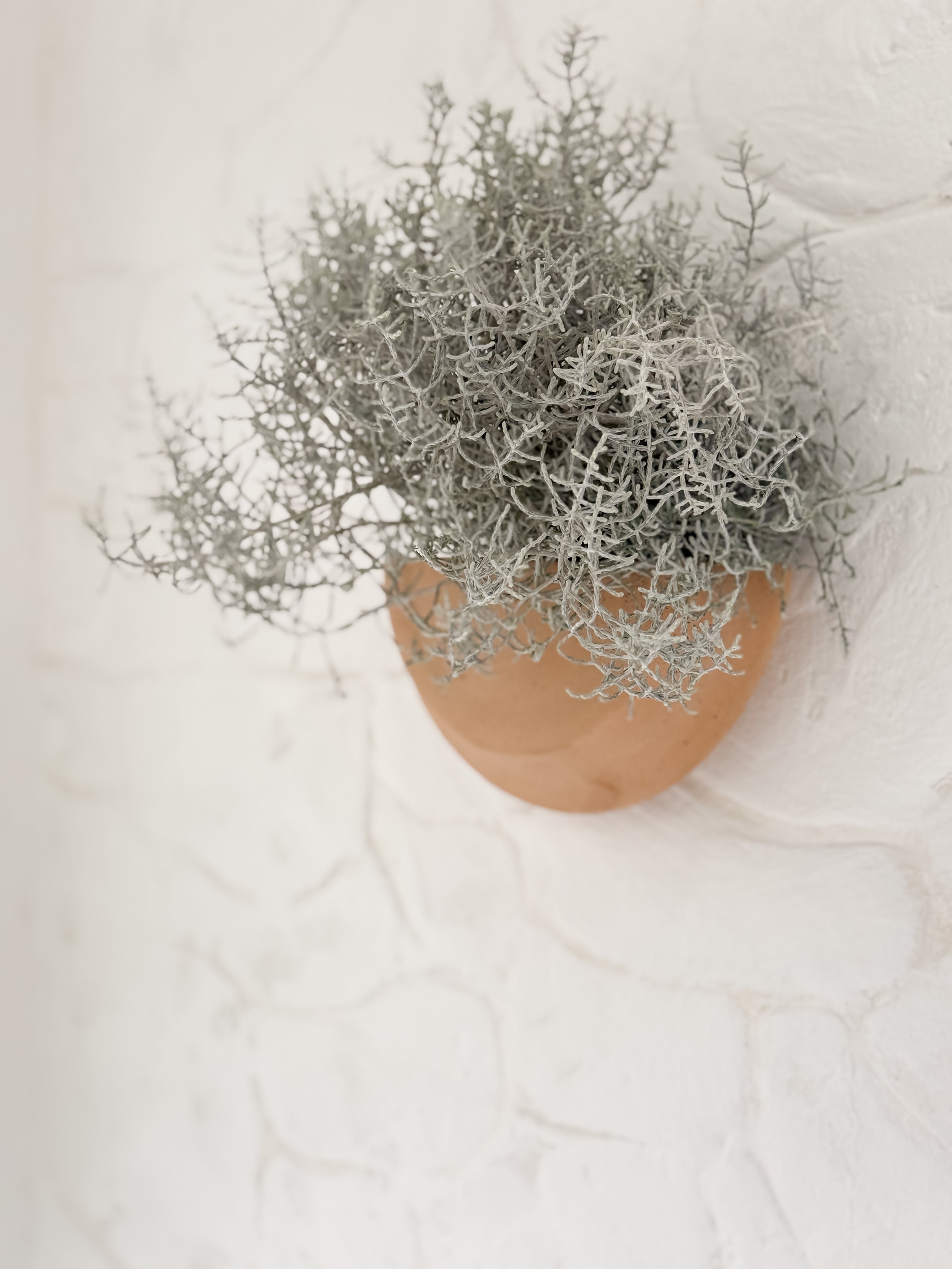 half wall plant pots Half Moon Wall Planter | Handmade Ceramic Wall Planter