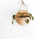 Wall Pocket Hanging Planter | Handmade Ceramic Wall Decor