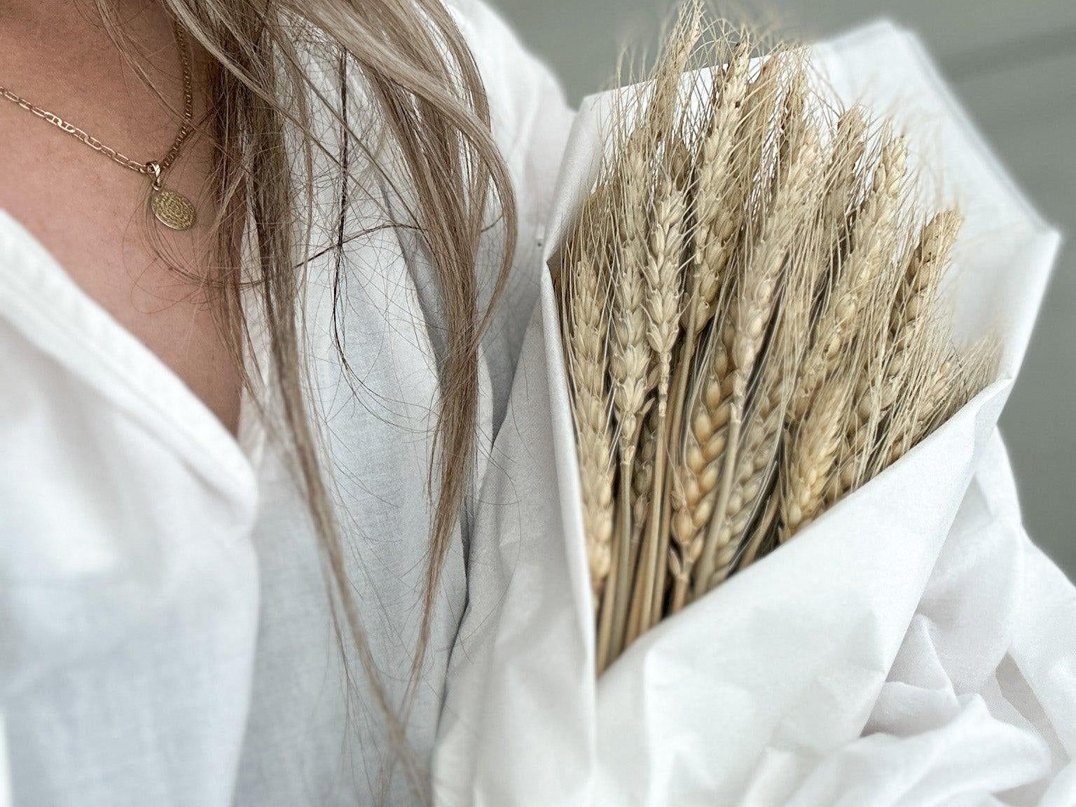 Harvest Wheat Bundle - MuddyHeart