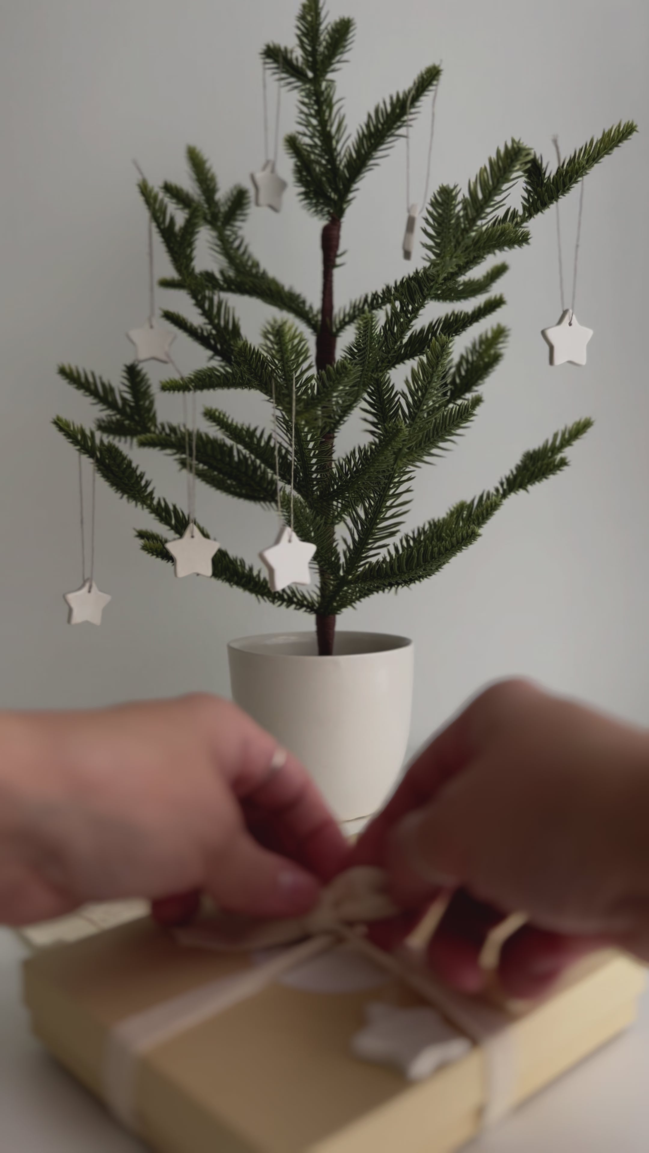 Set of 12 charming white ceramic star ornaments, perfect for adding holiday sparkle to gift toppers and little trees