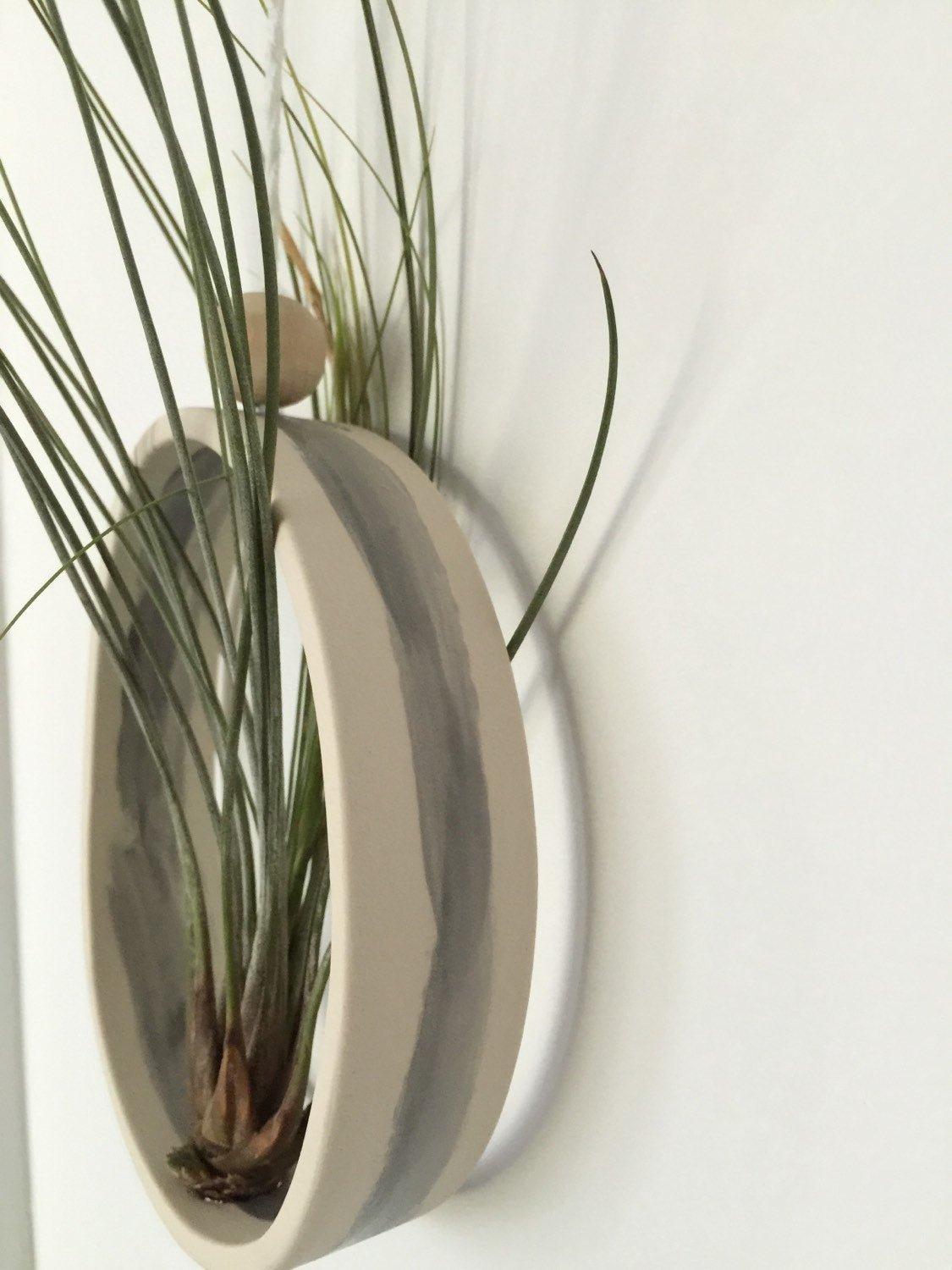 air plant pottery Elegant Ceramic Air Plant Holder