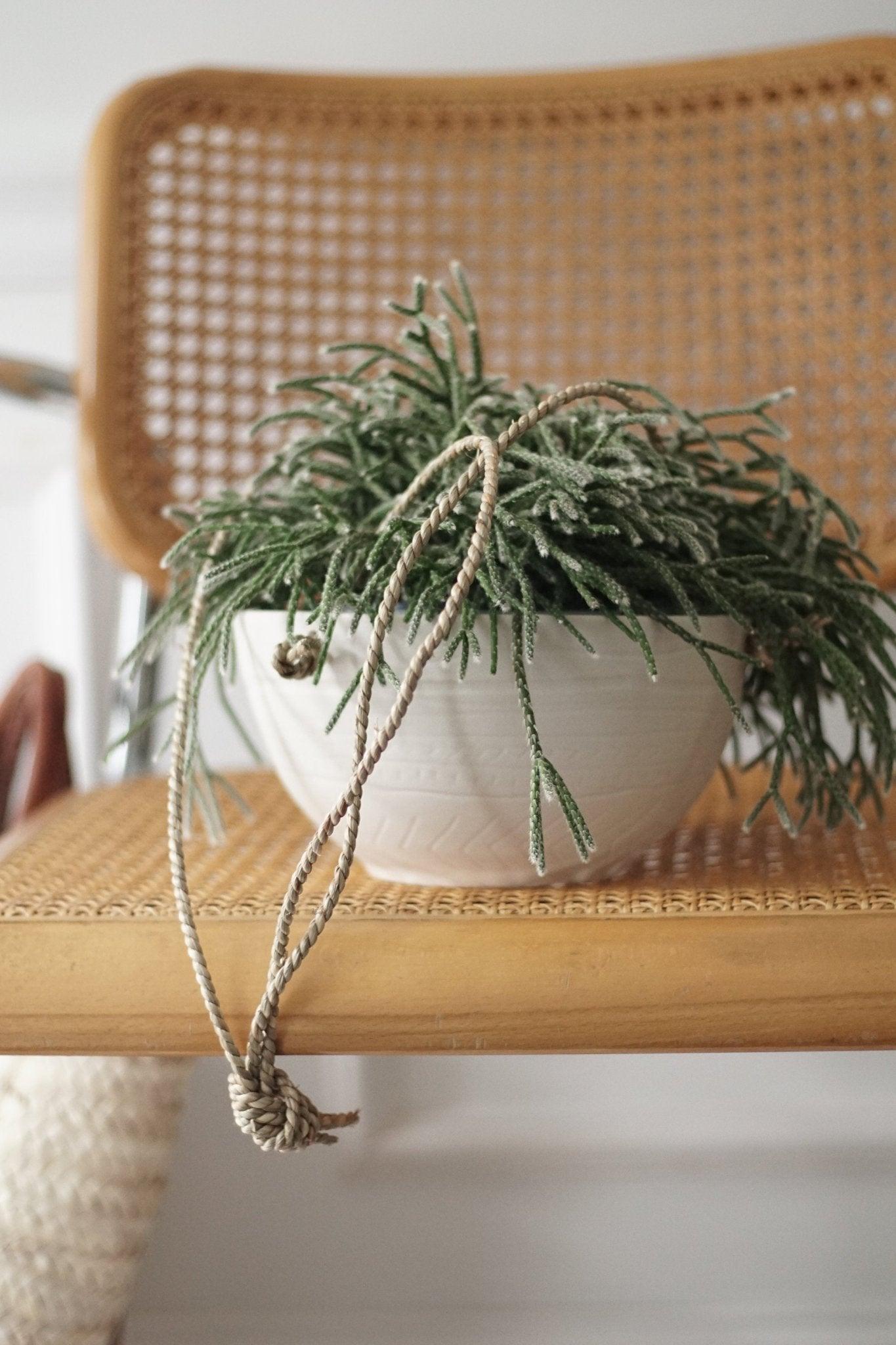 etsy ceramic hanging planter Carved Bowl Hanging Planter