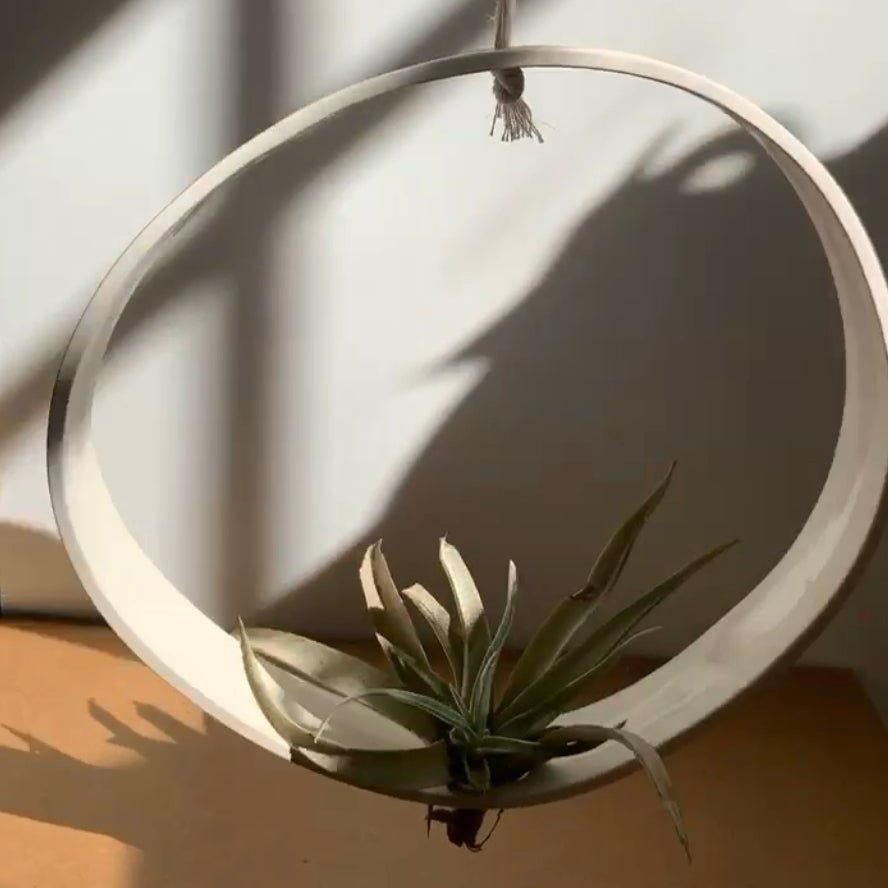 Large Airplant Cradle Ring - MuddyHeartMuddyHeartPlanter