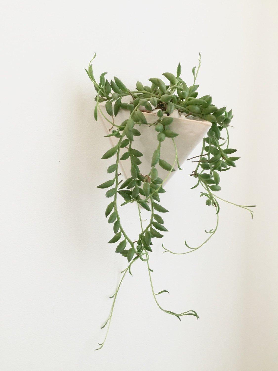 pyramid hanging planter Pyramid Wall Planter | Handmade Ceramic Hanging Planter Large / Cobalt