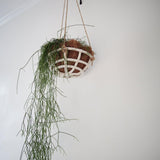 Woven Ceramic Hanging Basket - MuddyHeartMuddyHeart